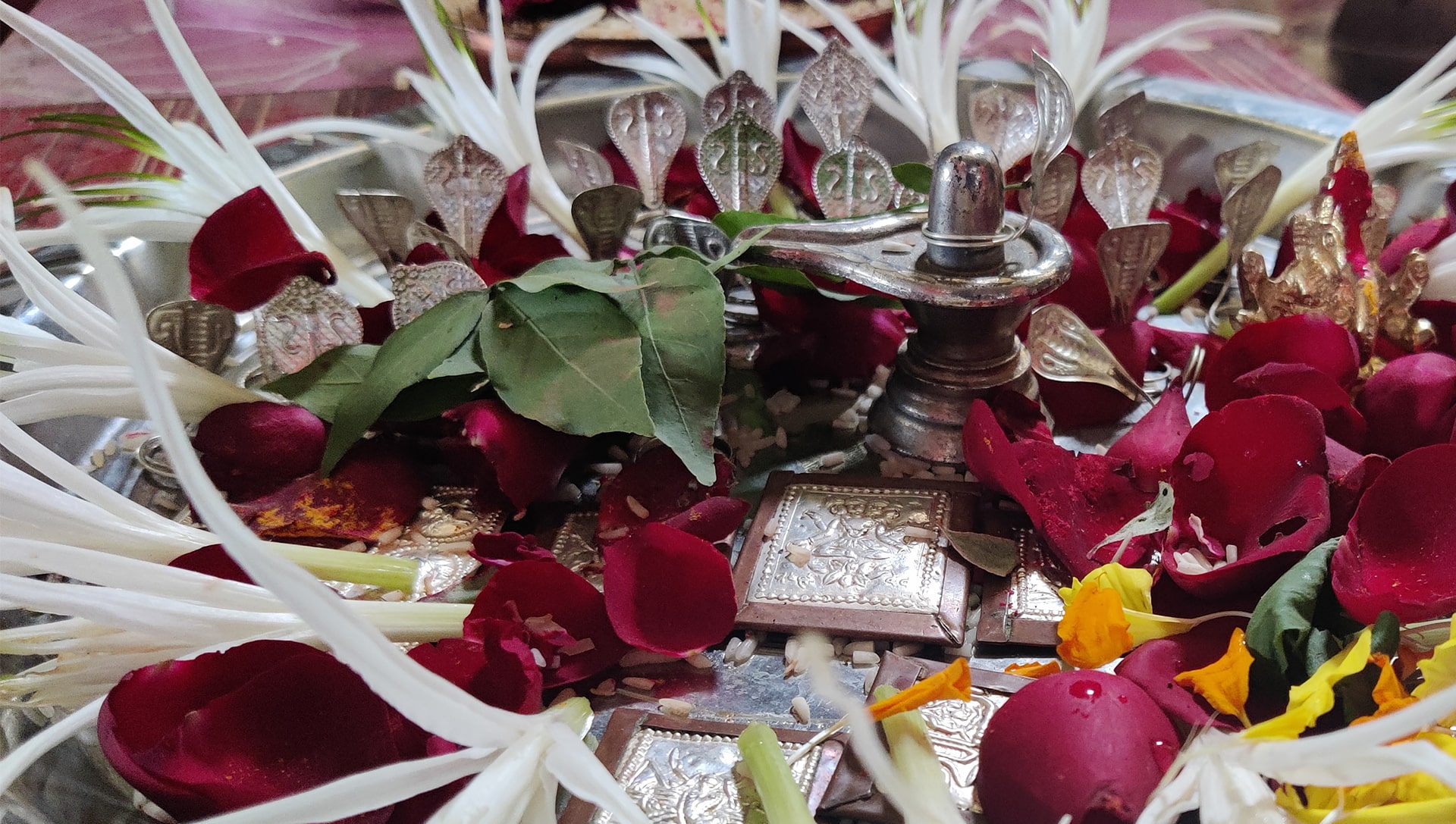 About - Trimbakeshwar Puja And Vidhi