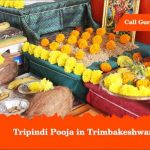 Tripindi Pooja in Trimbakeshwar