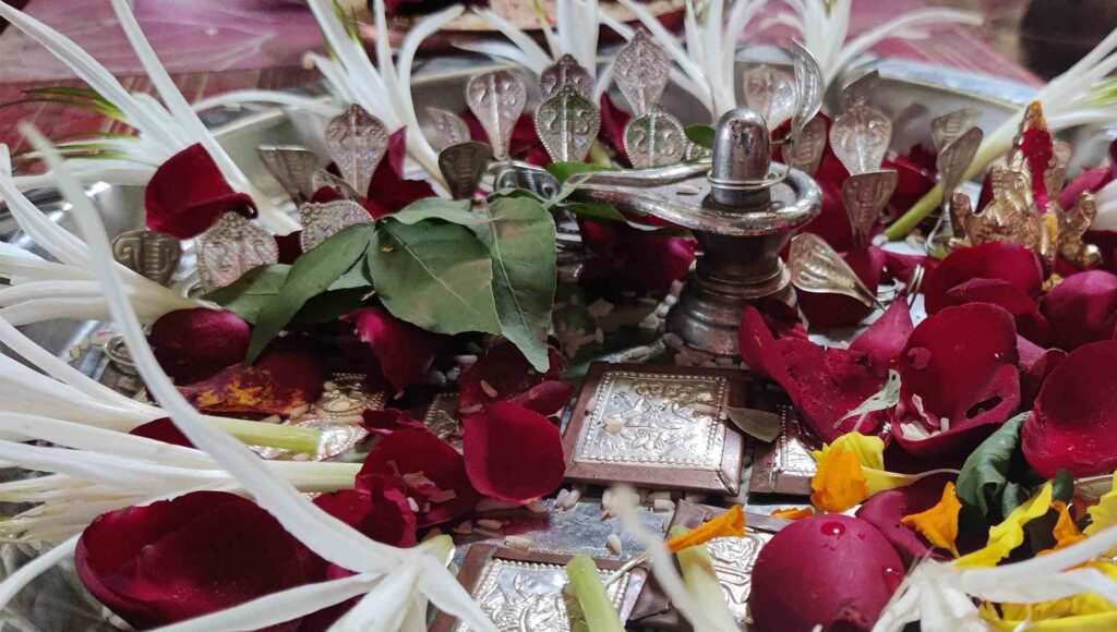 Kalsarp Puja