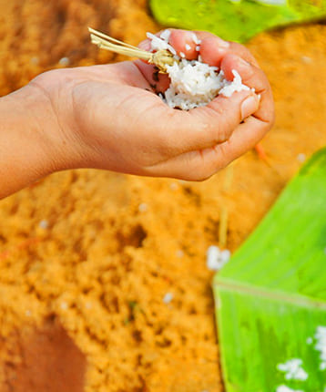 pitra dosh puja 