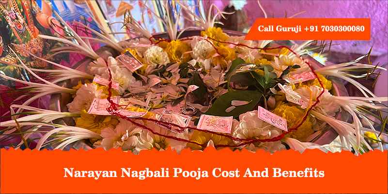 Narayan Nagbali Pooja Cost And Benefits