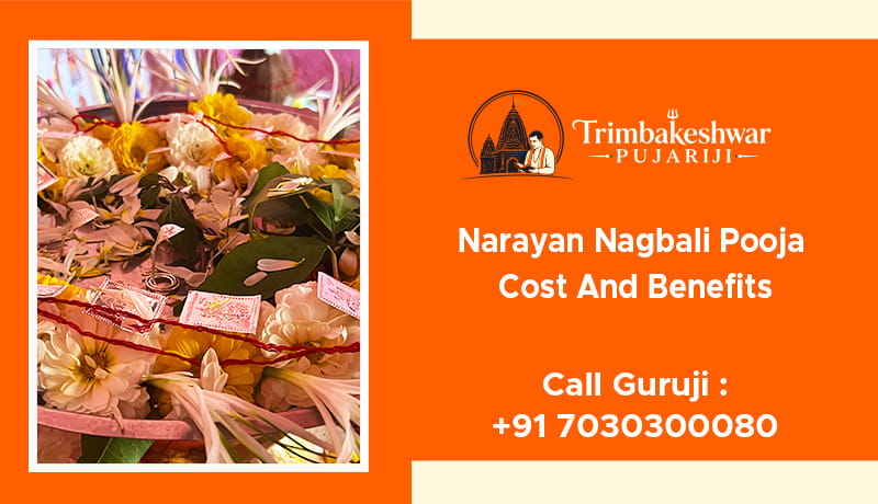 Narayan Nagbali Pooja Cost And Benefits