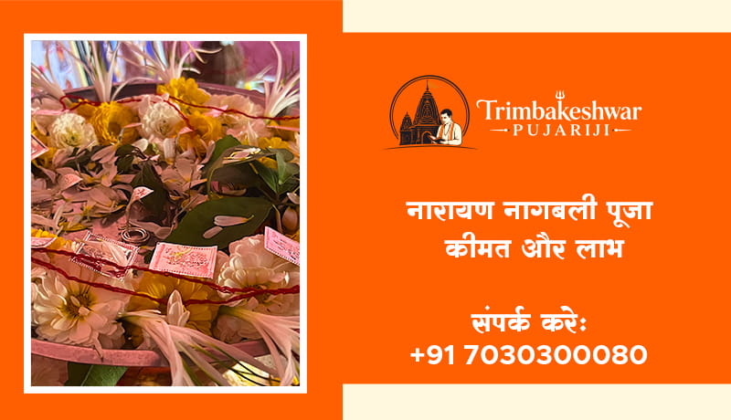 नारायण नागबली पूजा खर्च और लाभ