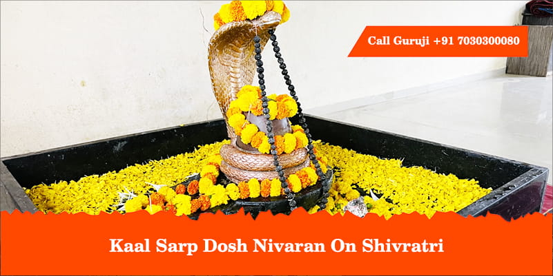 Kaal Sarp Dosh Nivaran On Shivratri