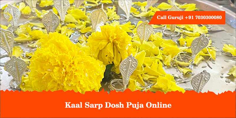 Kaal Sarp Dosh Puja Online
