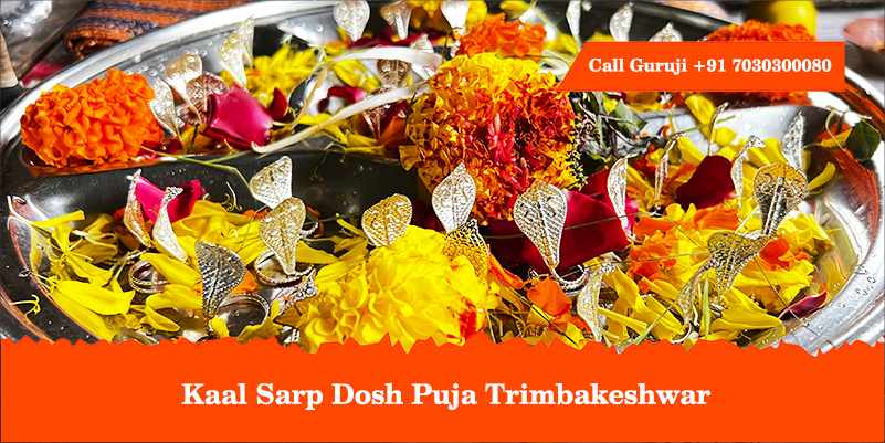 Kaal Sarp Dosh Puja Trimbakeshwar