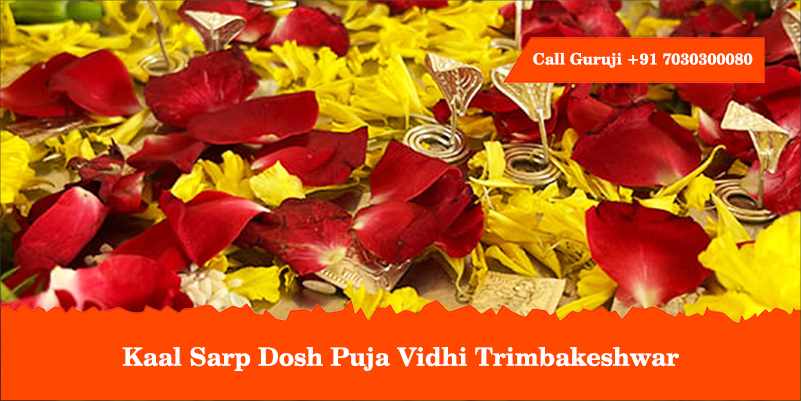 Kaal Sarp Dosh Puja Vidhi Trimbakeshwar