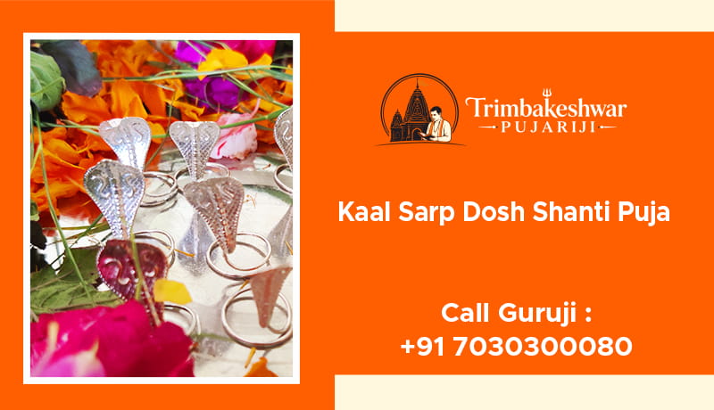 Kaal Sarp Dosh Shanti Puja