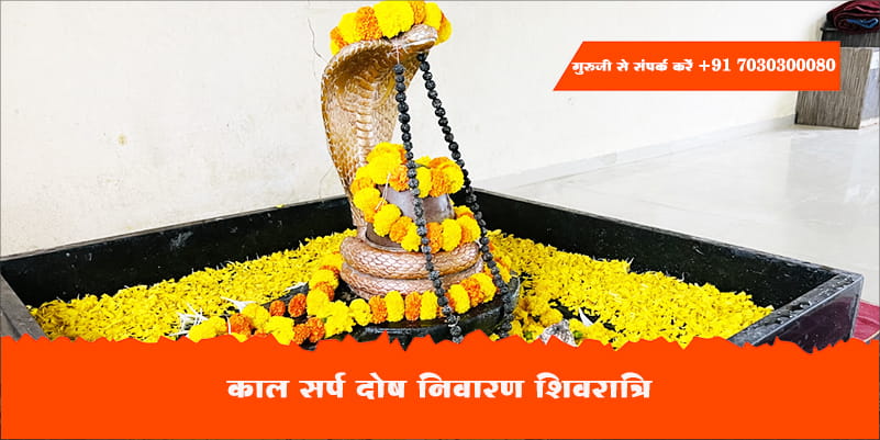 काल सर्प दोष निवारण शिवरात्रि