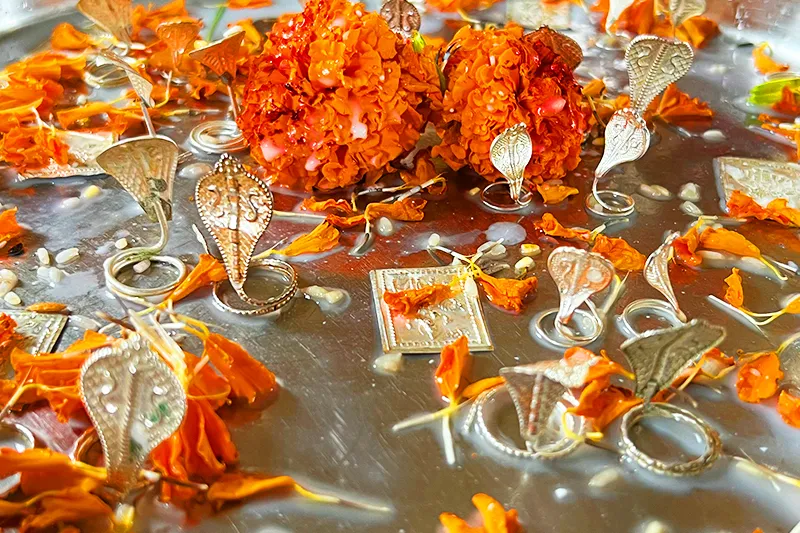 kalsarp puja